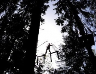  Recorrido en los árboles en Ain 